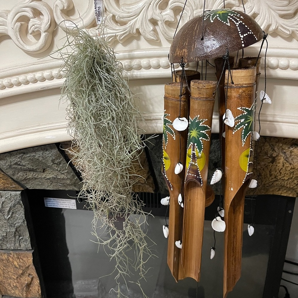 New from Honolulu Hawaii wind  chime & air plant